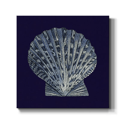 Indigo Shells VIII - Canvas Art Print