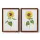 Sunflower I   - Premium Framed Canvas 2 Piece Set - Ready to Hang