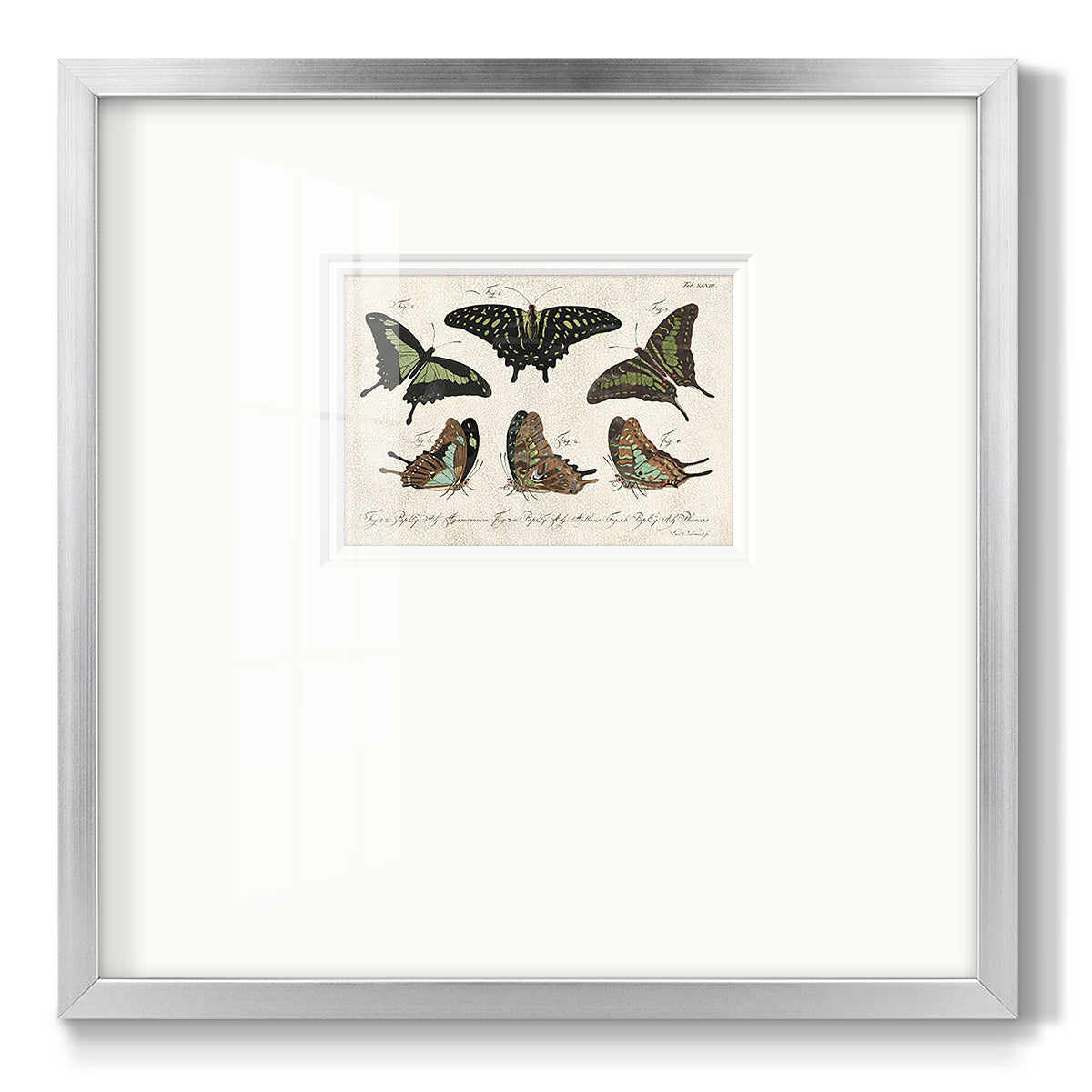 Crackled Butterflies II - Double Matboard Framed Print