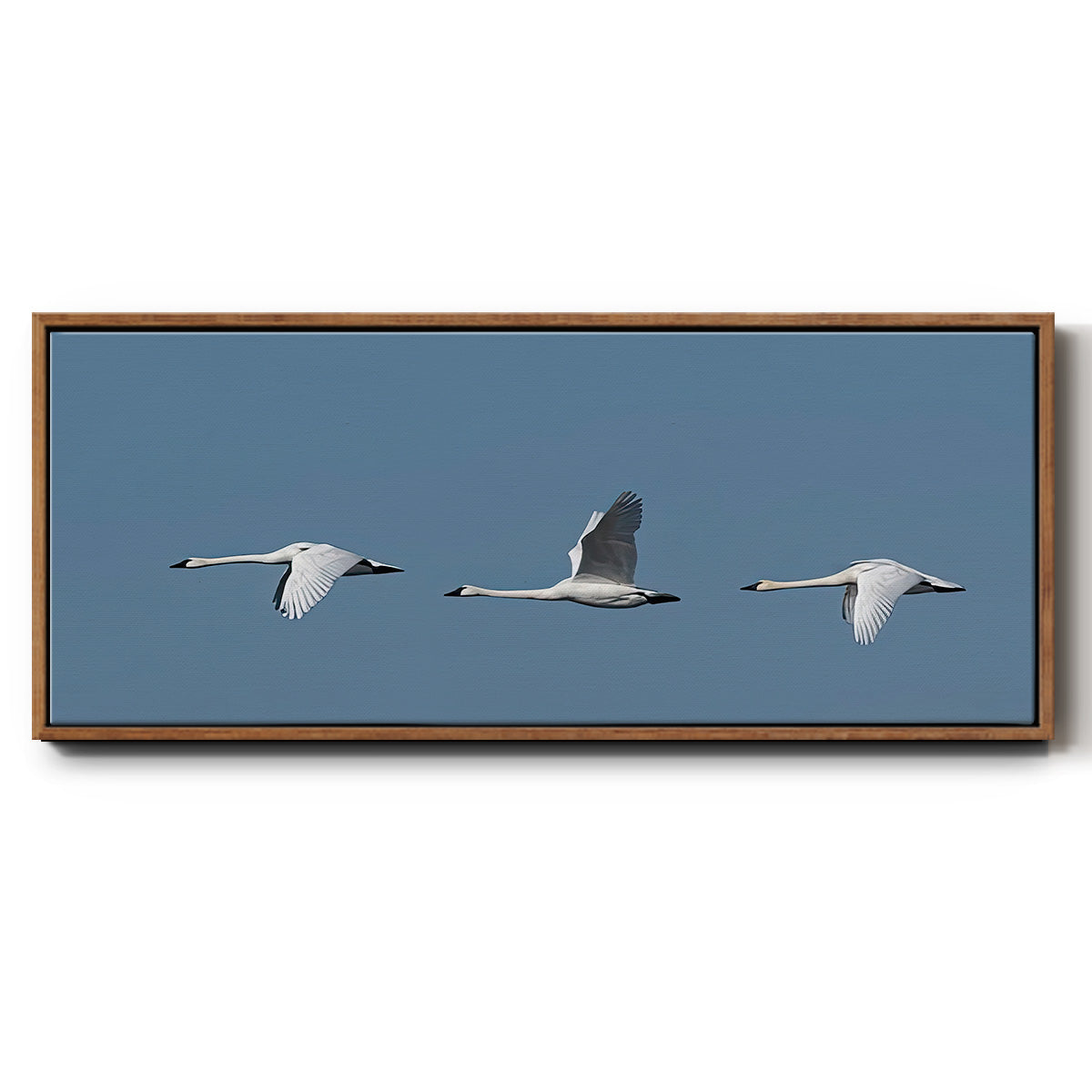 Wing Up Wing down - Floater Framed Canvas Print