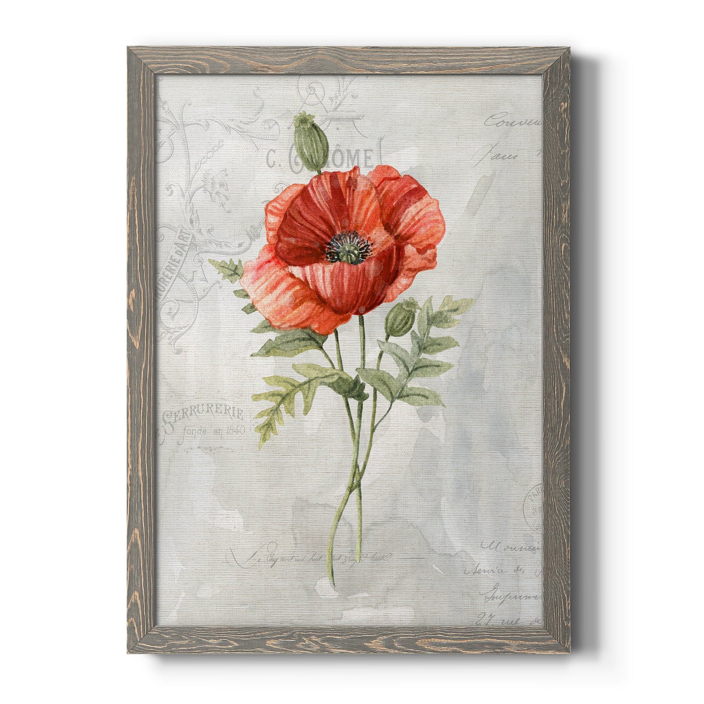 Linen Poppy - Premium Canvas Framed in Barnwood - Ready to Hang