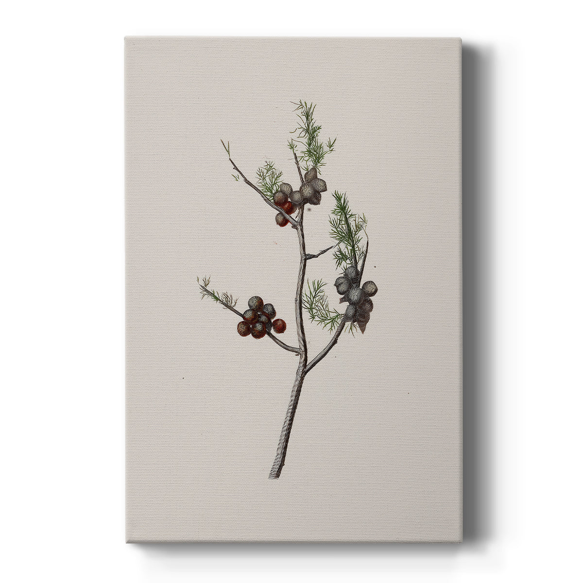 Silver Nativity Promise - Canvas Art Print