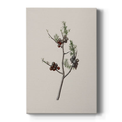 Silver Nativity Promise - Canvas Art Print