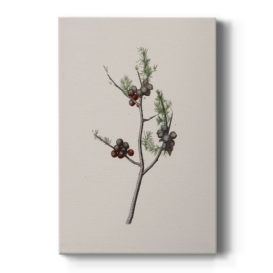 Silver Nativity Promise - Canvas Art Print