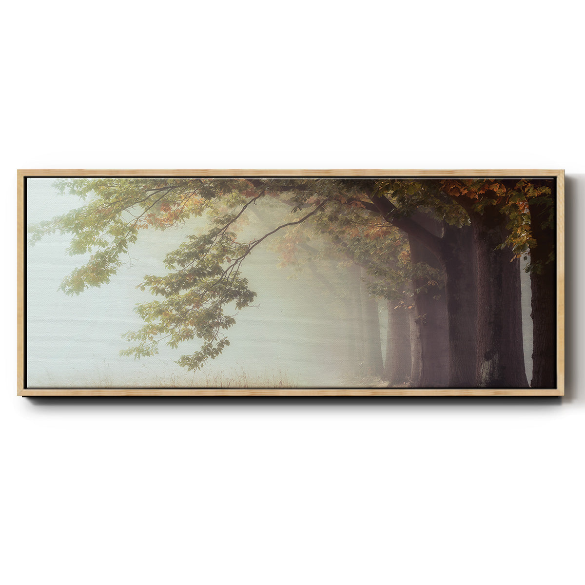 Dawnscratchers - Floater Framed Canvas Print