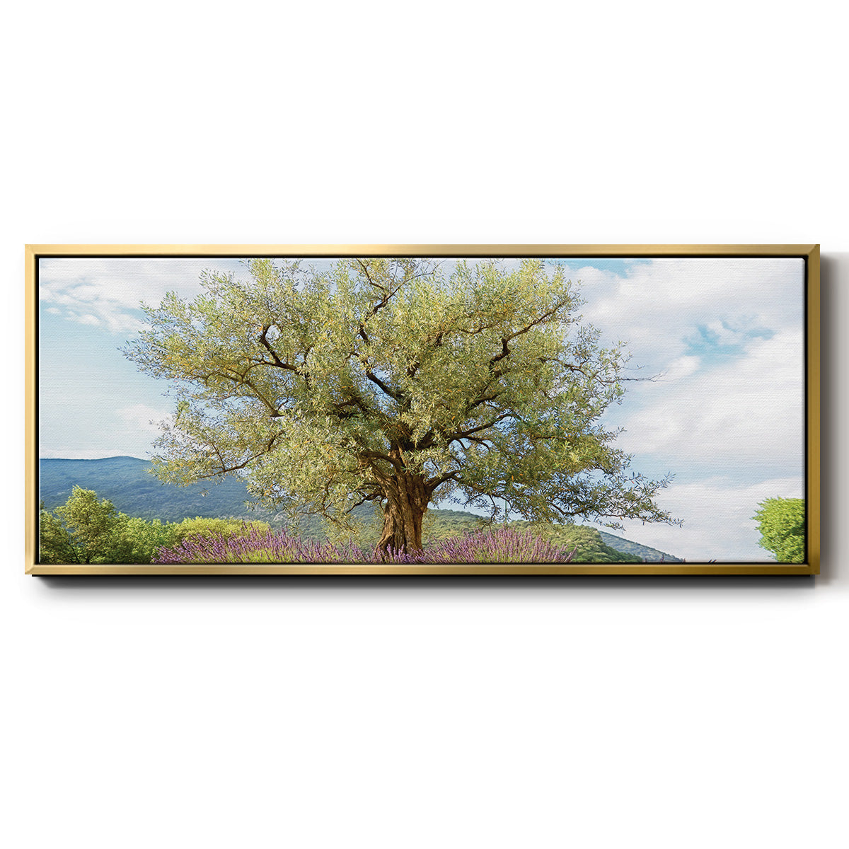 Olive Tree and Lavender - Floater Framed Canvas Print