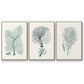 Antique Coastal Coral I - Floater Framed Canvas Set