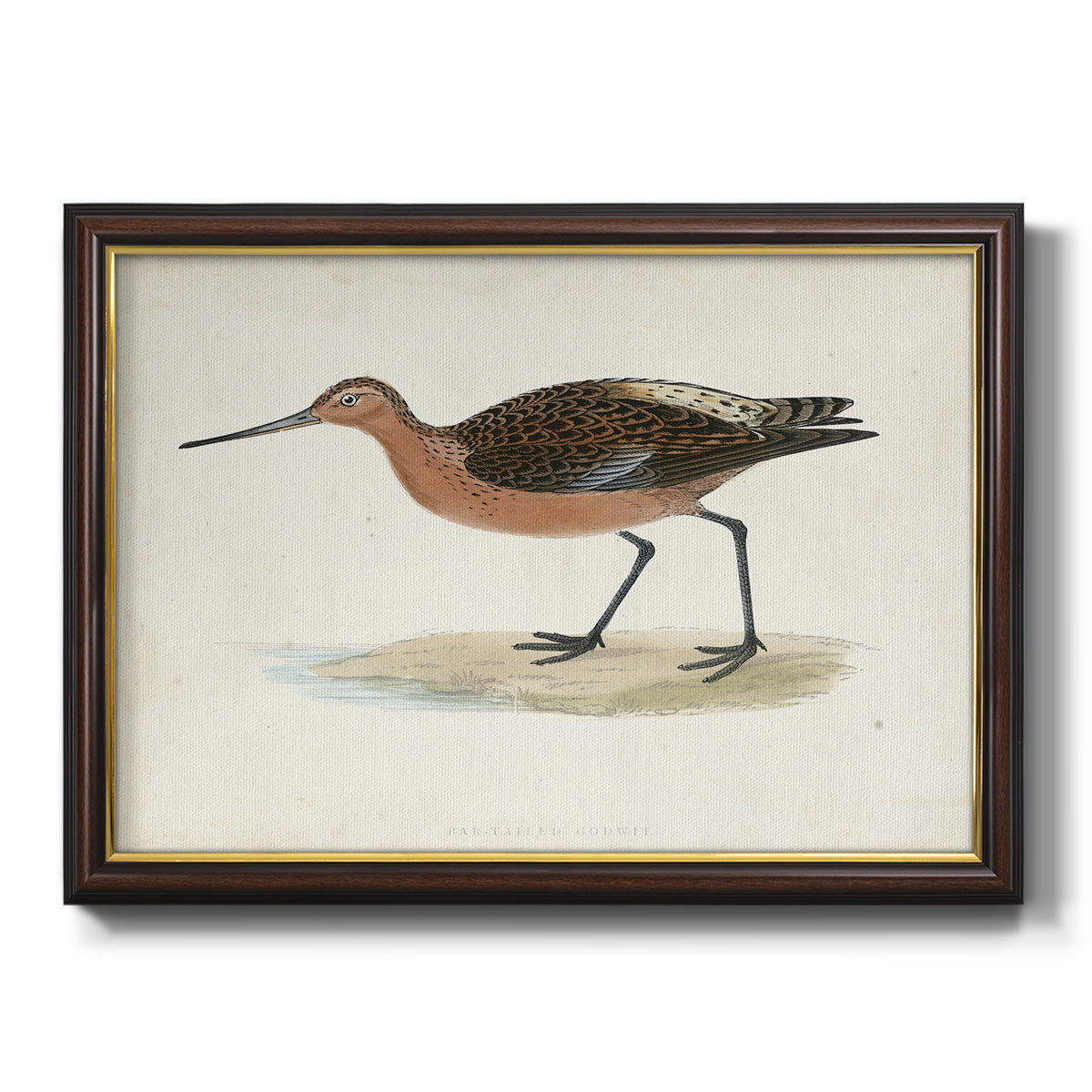 Morris Sandpipers II Premium Framed Canvas- Ready to Hang