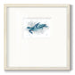 Blue Turtle II - Double Matboard Framed Print