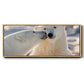 Polar Bear Kiss - Floater Framed Canvas Print