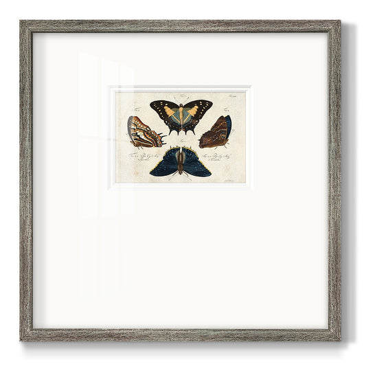 Crackled Butterflies IV - Double Matboard Framed Print