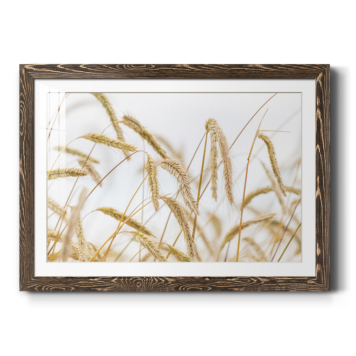 Wheat - Barnwood Framed Art Print