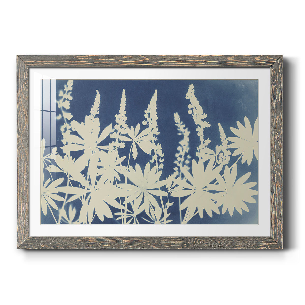 Lovely Lupine - Barnwood Framed Art Print