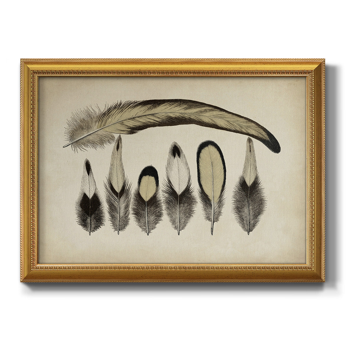 Vintage Feathers VII Premium Framed Canvas- Ready to Hang