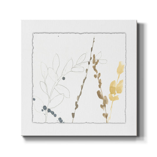 Branch Contours II - Canvas Art Print