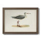 Morris Sandpipers I Premium Framed Canvas- Ready to Hang