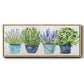 Fresh Herb Collection - Floater Framed Canvas Print