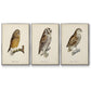 French Owls I - Floater Framed Canvas Set