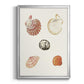 Pastel Knorr Shells VIII - Modern Framed Canvas Print