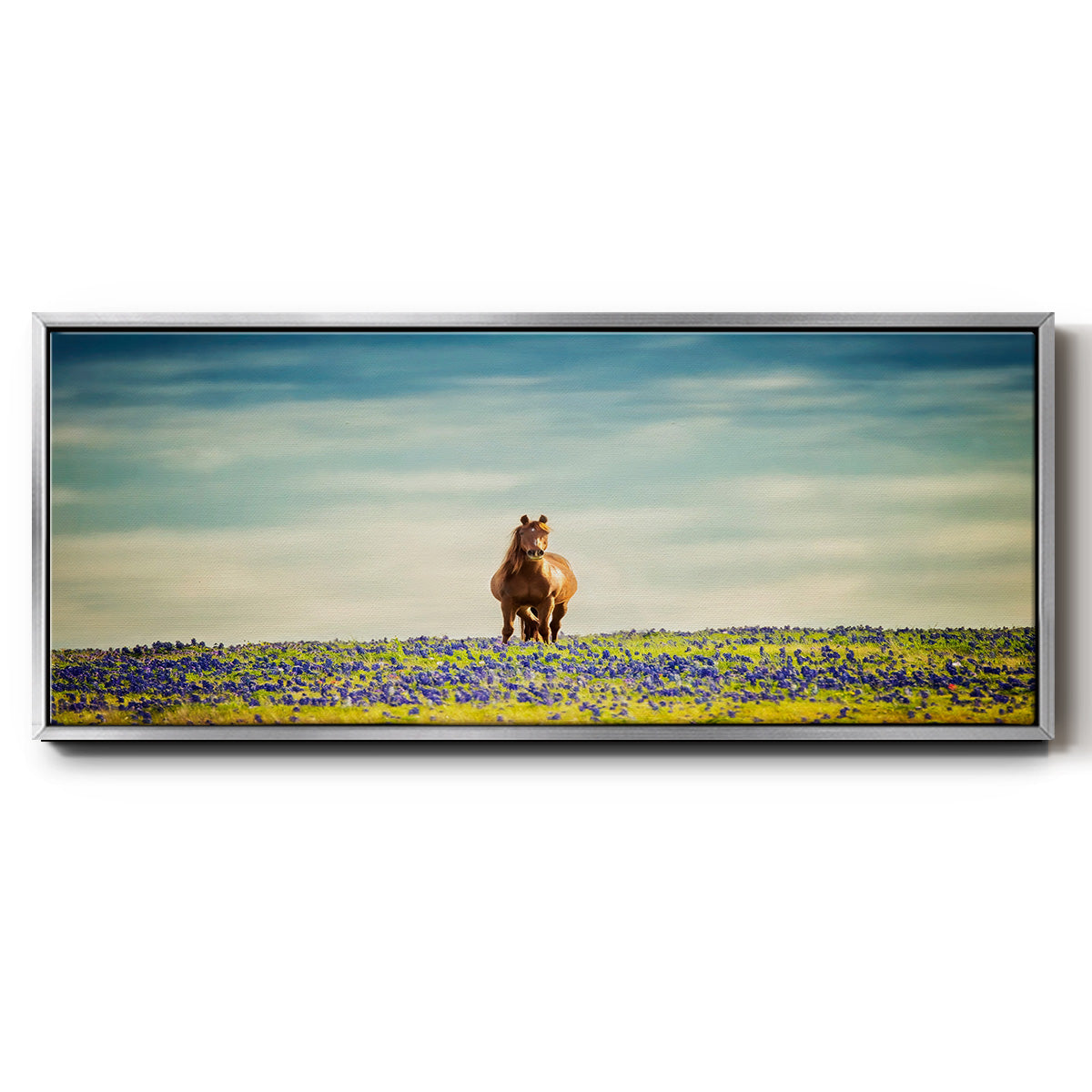 Sunlit Midwest II - Floater Framed Canvas Print