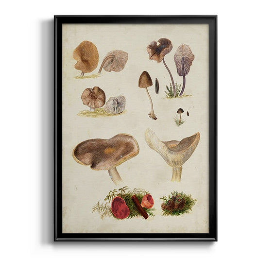 Mushroom Species III - Modern Framed Canvas Print