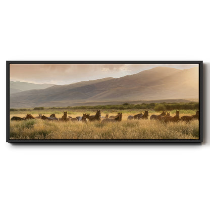 Wild and Free I - Floater Framed Canvas Print