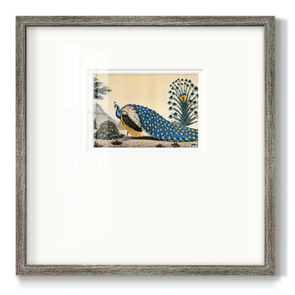 Peacock Plum Premium Framed Print Double Matboard