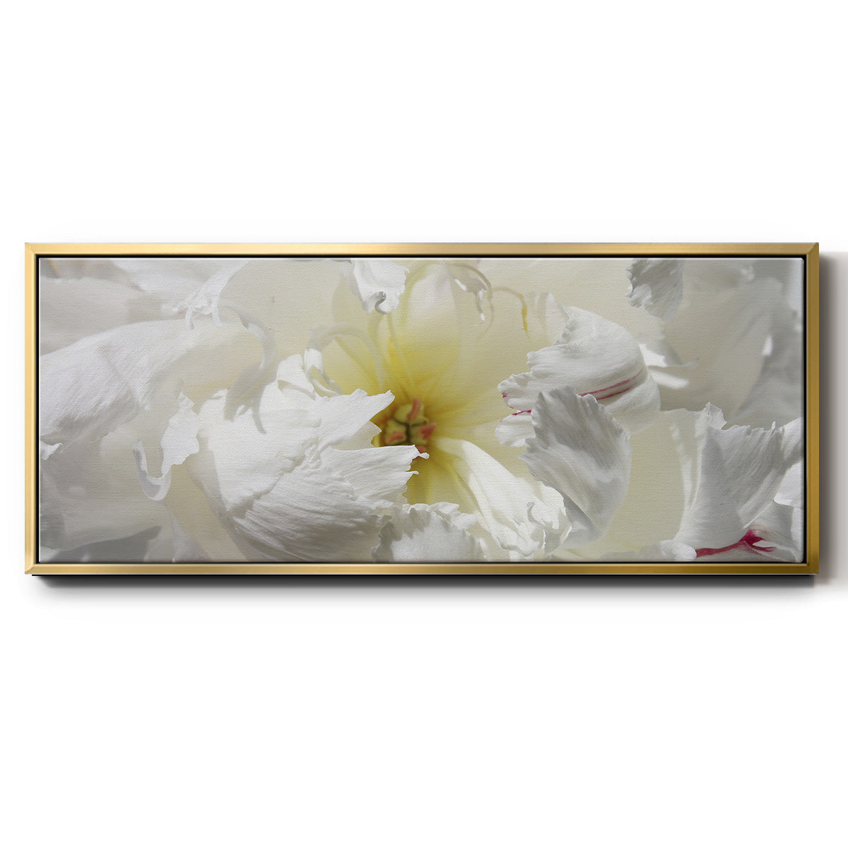 Breathless II - Floater Framed Canvas Print