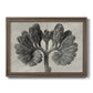 Blossfeldt Botanical VIII Premium Framed Canvas- Ready to Hang