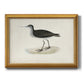 Morris Sandpipers VIII Premium Framed Canvas- Ready to Hang