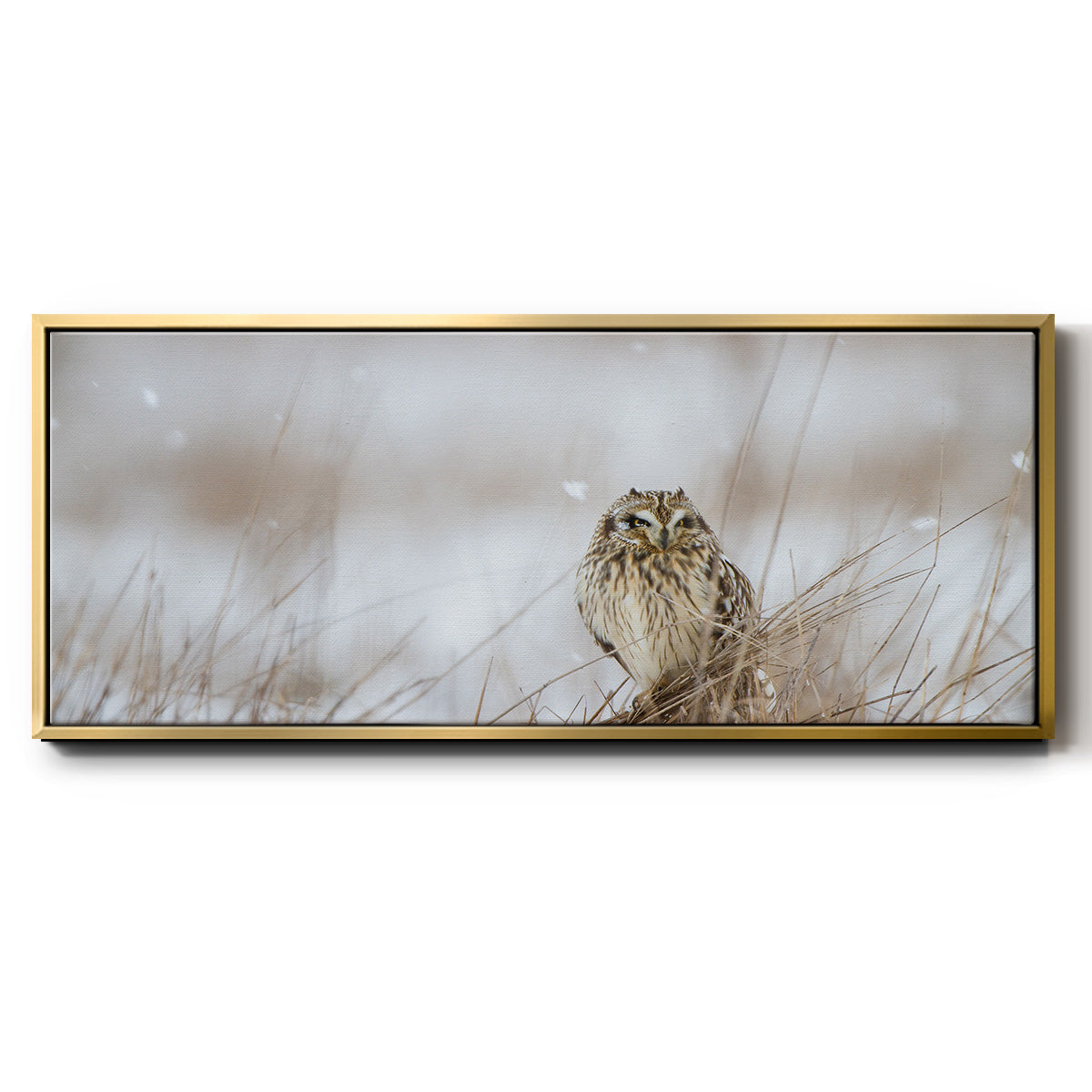 Prairie Winter - Floater Framed Canvas Print