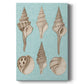 Sepia & Aqua Shells II - Canvas Art Print