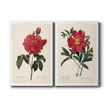 Set of two vertical canvas prints featuring vintage red rose botanical illustration, displayed side by side.