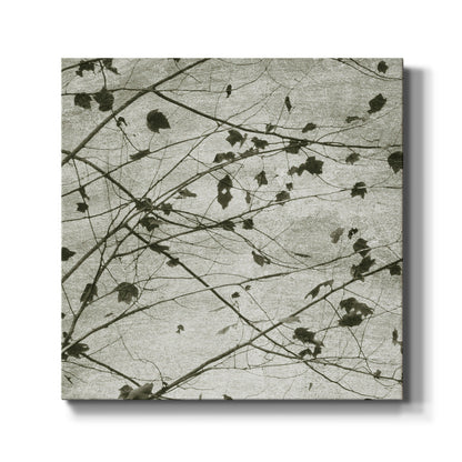 Laced Sky I - Canvas Art Print