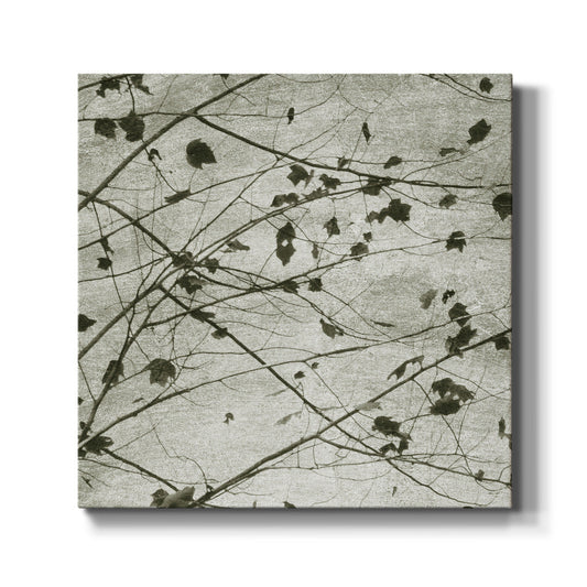 Laced Sky I - Canvas Art Print