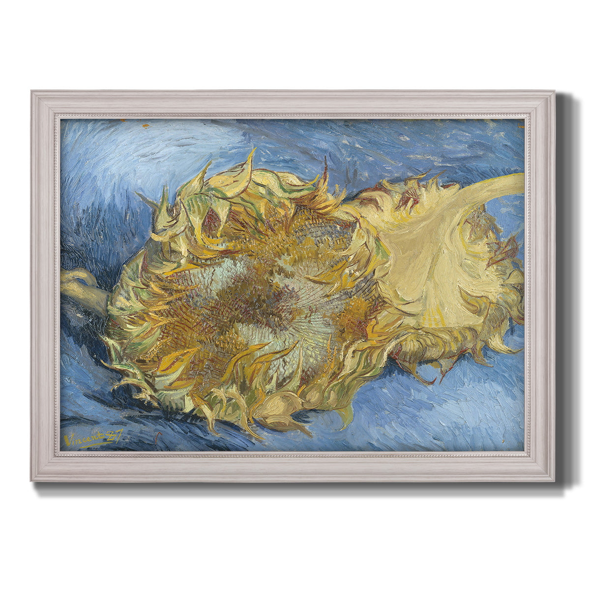 Two Cut Sunflowers - Ornate Framed Canvas Print