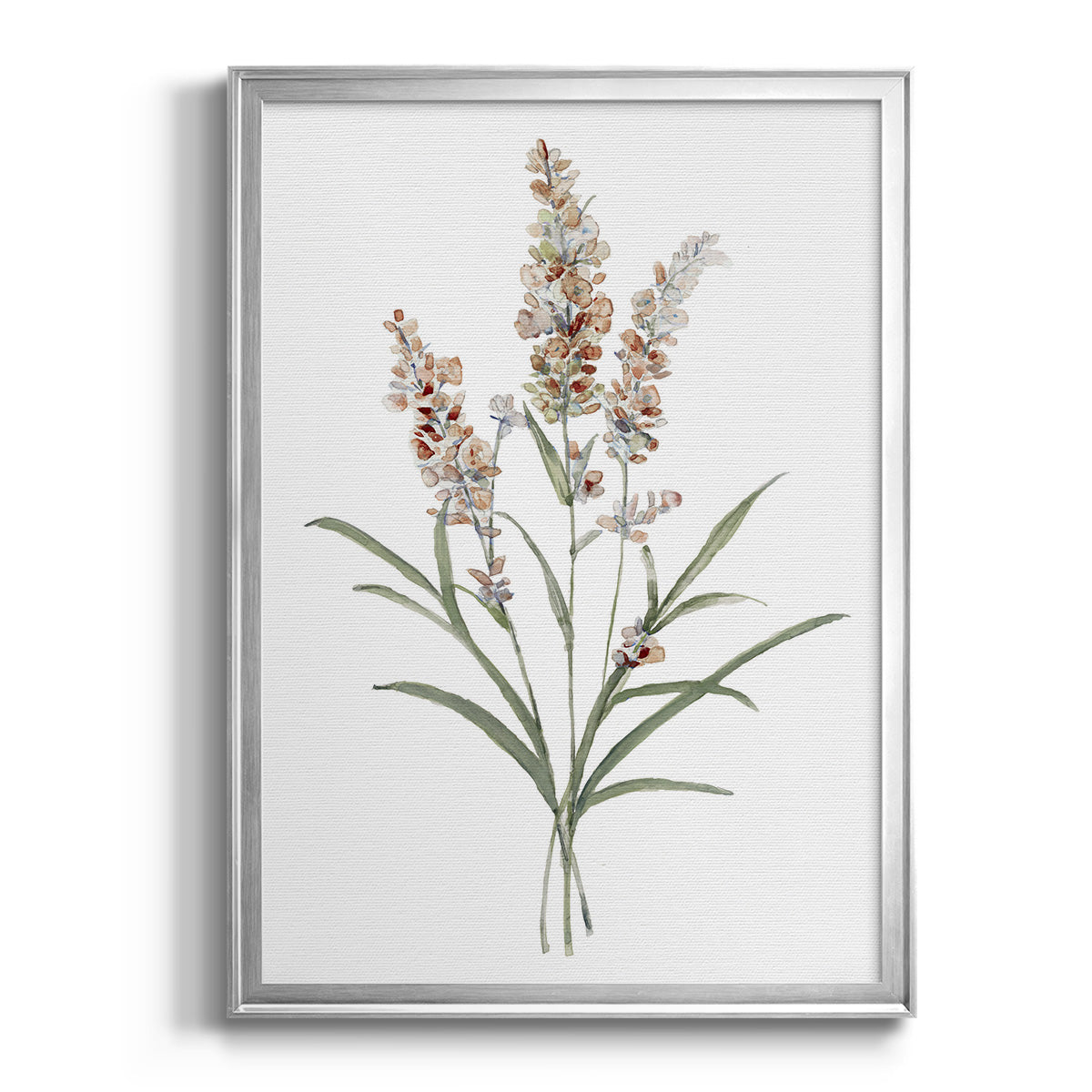 Dainty Botanical I - Modern Framed Canvas Print