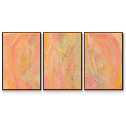 Peach Bliss I - Framed Premium Gallery Wrapped Canvas L Frame 3 Piece Set - Ready to Hang