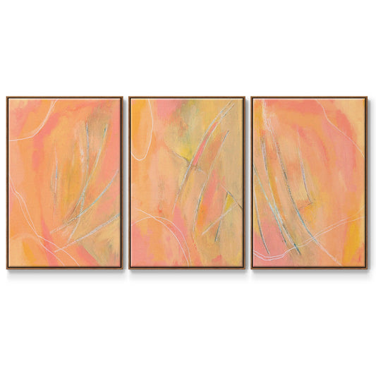 Peach Bliss I - Floater Framed Canvas Set