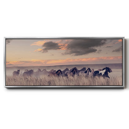 Wild and Free II - Floater Framed Canvas Print