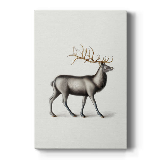 Lantern of Snowwhite Promise - Canvas Art Print