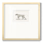 Neutral Pointer II - Double Matboard Framed Print