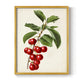 Antique Fruit II - Restickable Framed Art Print
