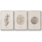 Shore Treasure Study I - Framed Premium Gallery Wrapped Canvas L Frame 3 Piece Set - Ready to Hang