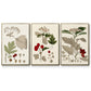 Leaves & Berries I - Framed Premium Gallery Wrapped Canvas L Frame 3 Piece Set - Ready to Hang