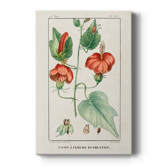 Turpin Tropical Botanicals IV - Canvas Art Print