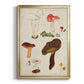 Mushroom Species XI - Modern Framed Canvas Print