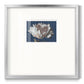 White Peony - Double Matboard Framed Print