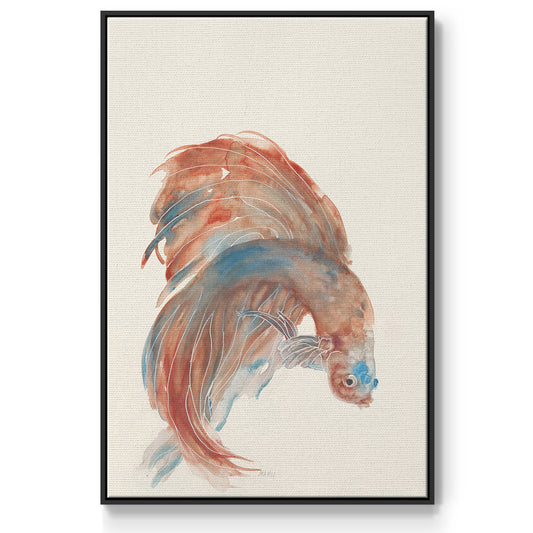 Betta III - Floater Framed Canvas Print