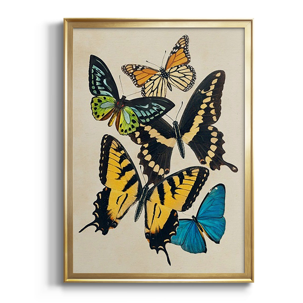 Collaged Butterflies II - Modern Framed Canvas Print